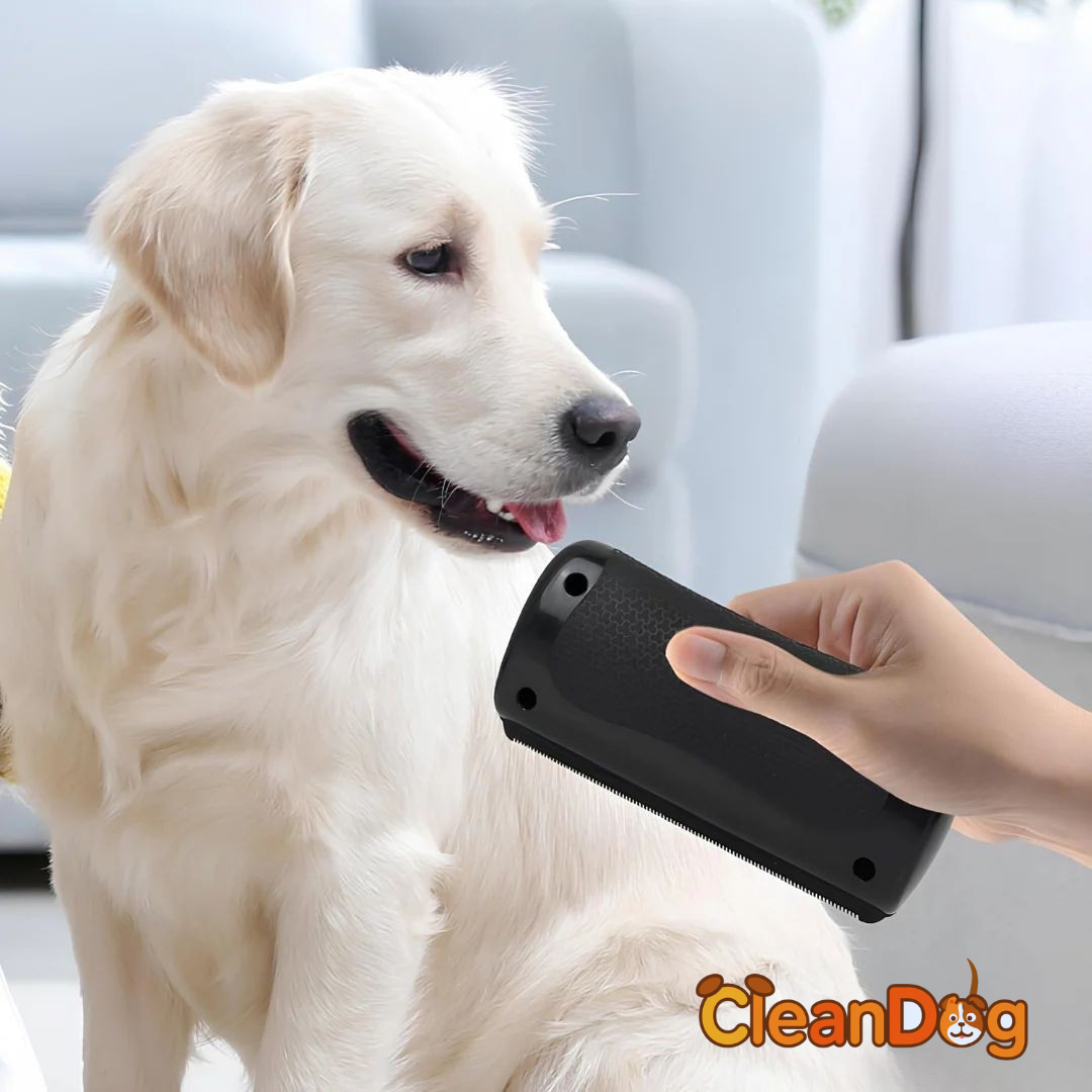 Brosse à chien