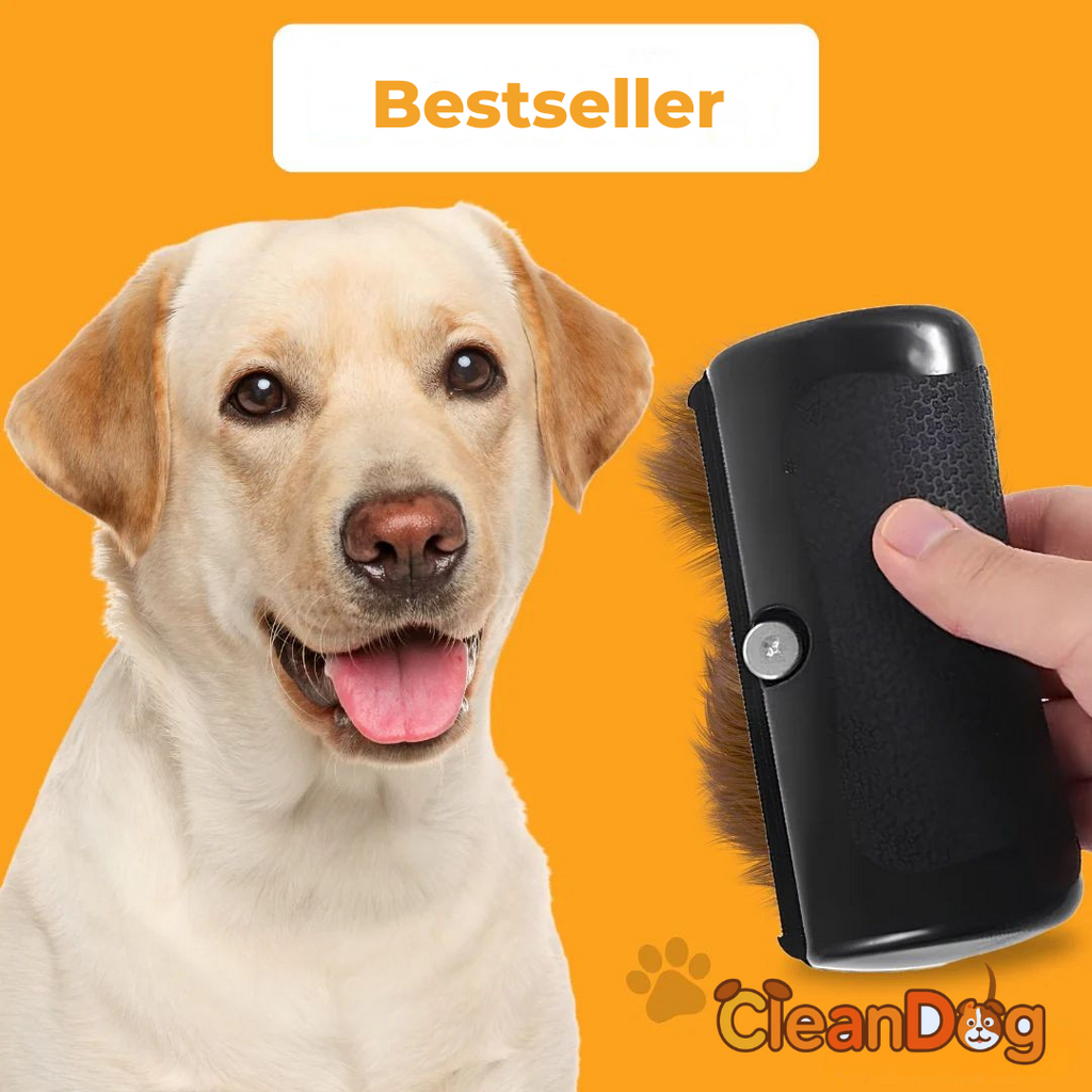 Brosse à chien