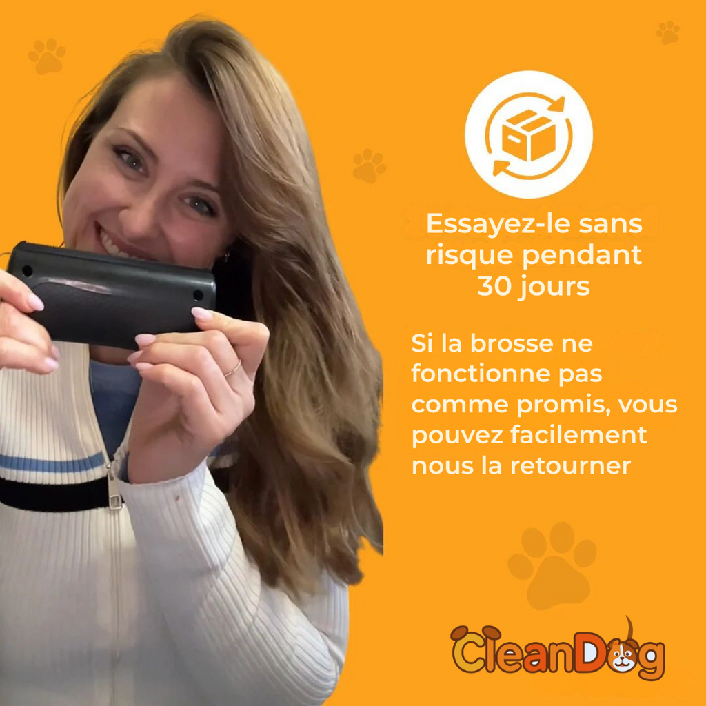 Brosse à chien