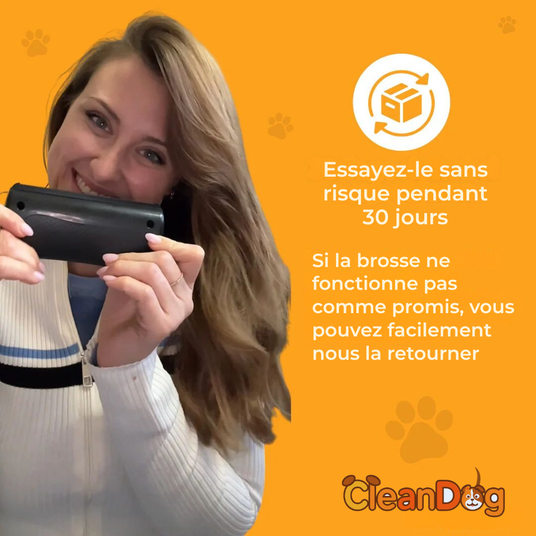 Brosse à chien