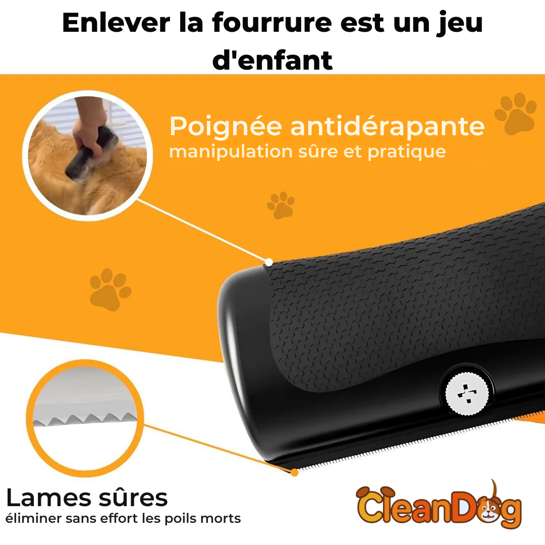 Brosse à chien