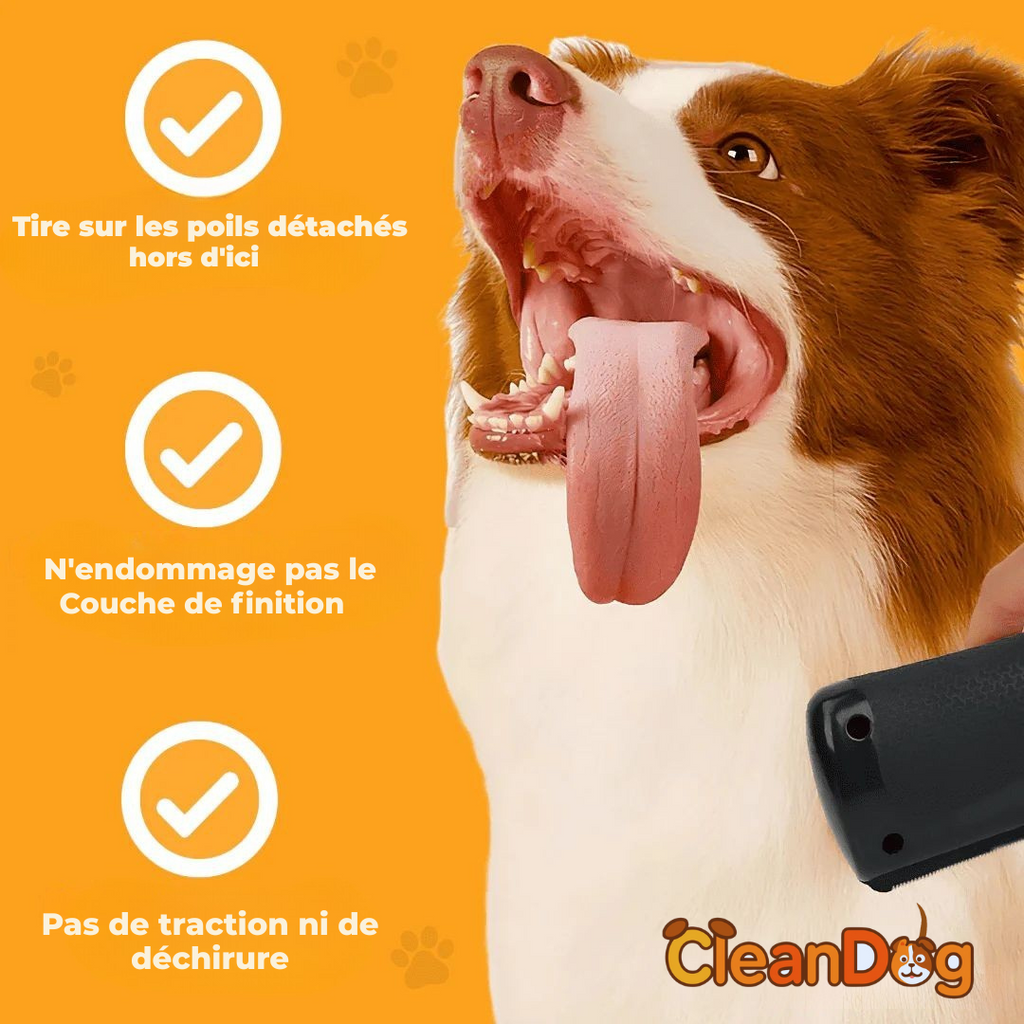 Brosse à chien